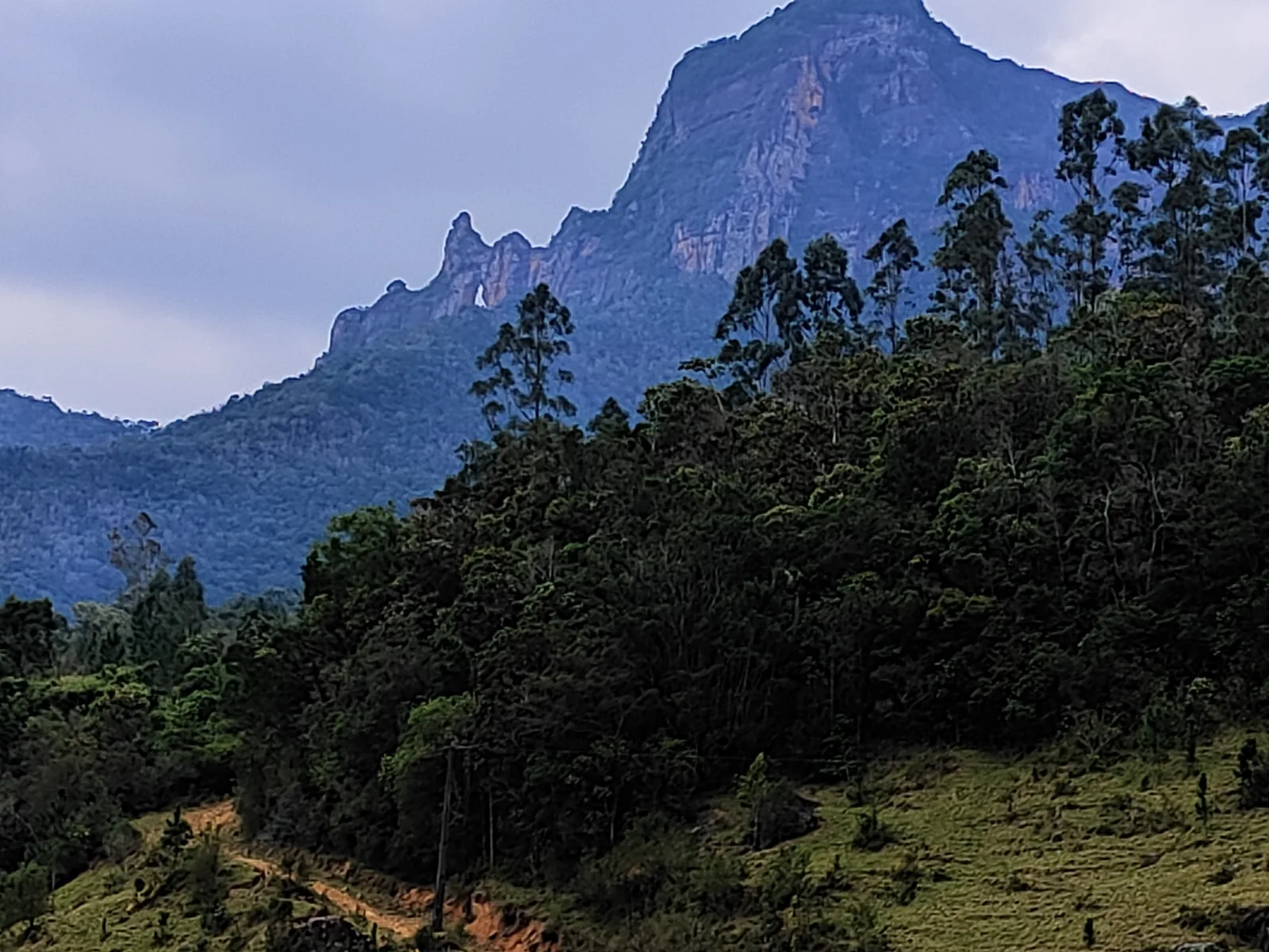 Fazenda próximo Serra Furada, 85hc com 58.000 pés Pinus Elliottis, Grão Pará, SC — foto 1